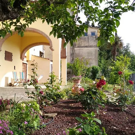Da Vinci Sweet Castiglion Fibocchi
